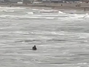 Minutos de terror: rescatan a bañista que luchaba por salir del mar en playa de Cartagena