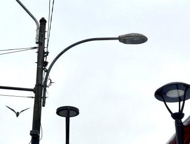 Seremi de Desarrollo Social da luz verde al recambio de luminarias en Valparaíso: proyecto obtuvo RS por $5.199 millones