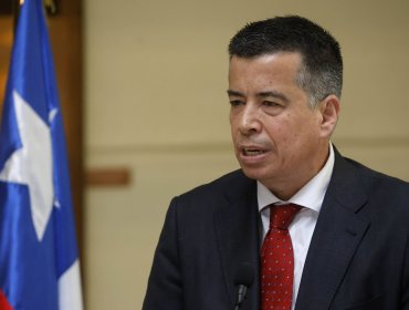 Diputado Celis oficia a la Municipalidad de Viña del Mar y Seremi para exigir medidas por perros abandonados en Nueva Aurora