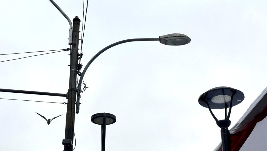 Seremi de Desarrollo Social da luz verde al recambio de luminarias en Valparaíso: proyecto obtuvo RS por $5.199 millones