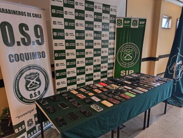 Detienen a banda de peruanos que robó cerca de 80 celulares en fiesta de La Pampilla