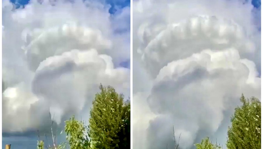 Presunto tornado provoca voladuras de techos y caída de árboles en Longaví: no se reportaron personas lesionadas
