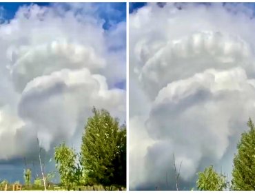 Presunto tornado provoca voladuras de techos y caída de árboles en Longaví: no se reportaron personas lesionadas