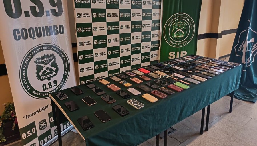 Detienen a banda de peruanos que robó cerca de 80 celulares en fiesta de La Pampilla