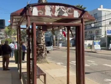 Vecinos y comerciantes alertan por deterioro de paraderos en el centro de Reñaca ante próxima temporada estival