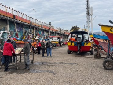 Caleta Portales prevé repunte comercial tras negativo balance de Fiestas Patrias pese al fin de la veda de la merluza