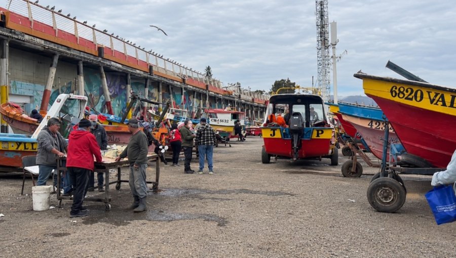 Caleta Portales prevé repunte comercial tras negativo balance de Fiestas Patrias pese al fin de la veda de la merluza