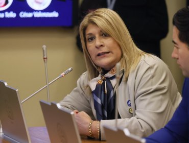 Diputada Parisi exige al Gobierno "transparentar" adhesión de Chile al «Escudo de las Américas»