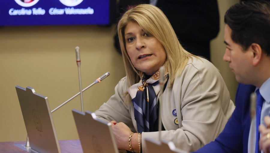 Diputada Parisi exige al Gobierno "transparentar" adhesión de Chile al «Escudo de las Américas»