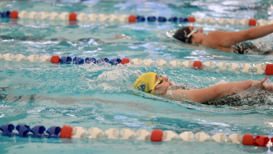 Quilpué prepara torneo de natación para estudiantes en el marco de los Juegos de Primavera 2026