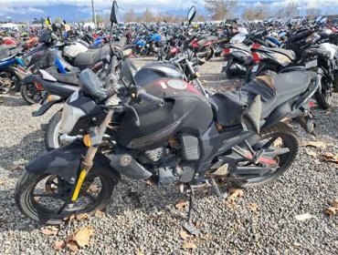 Municipio de Ñuñoa remata más de 180 motocicletas abandonadas en el Corral Metropolitano y sin precio mínimo