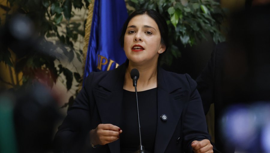 Senadora Cariola tras nueva emergencia ambiental en Quintero emplaza al Gobierno a tomar medidas para esclarecer causas