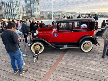Viña del Mar exhibió autos clásicos en inédita jornada patrimonial en Muelle Vergara