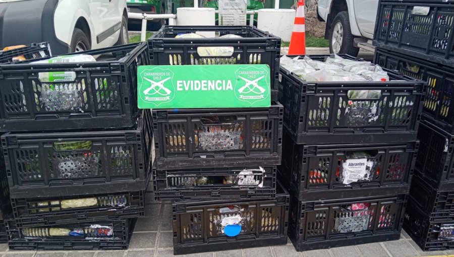 Encerrona a conductor de camión termina con ocho detenidos y recuperación de carga en San Bernardo