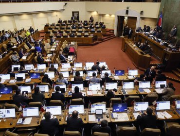 Cámara aprueba y despacha al Senado proyecto que establece compensación por compra de pañales y medicamentos