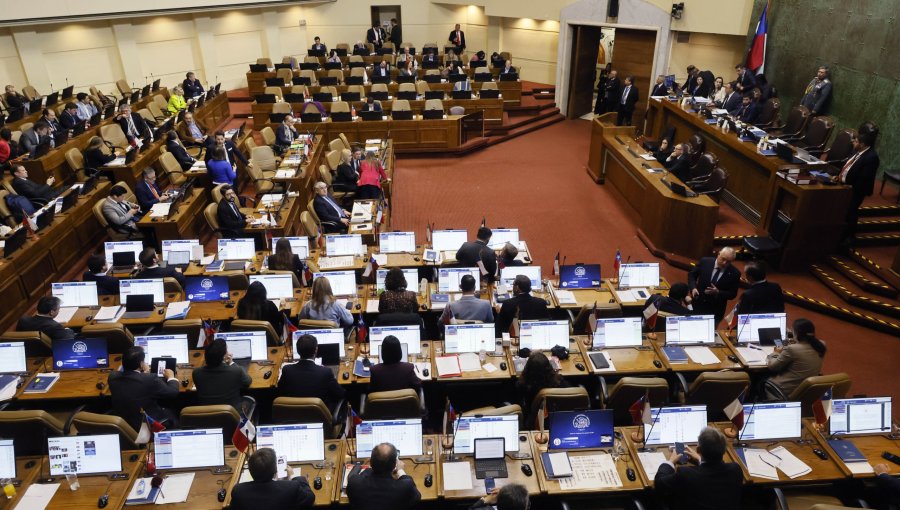 Cámara aprueba y despacha al Senado proyecto que establece compensación por compra de pañales y medicamentos
