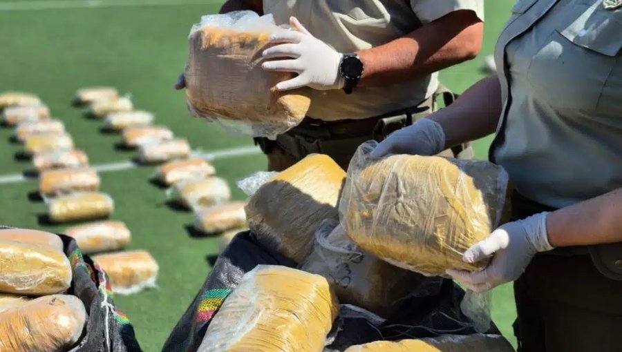 Incautan 700 kilos de drogas avaluadas en $4.500 millones durante procedimientos en Antofagasta