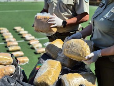 Incautan 700 kilos de drogas avaluadas en $4.500 millones durante procedimientos en Antofagasta