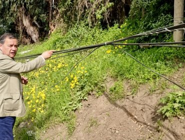 Cables de comunicaciones derribaron poste y dejan en riesgo la red eléctrica en Maitencillo: Seremi de Energía advierte peligrosidad