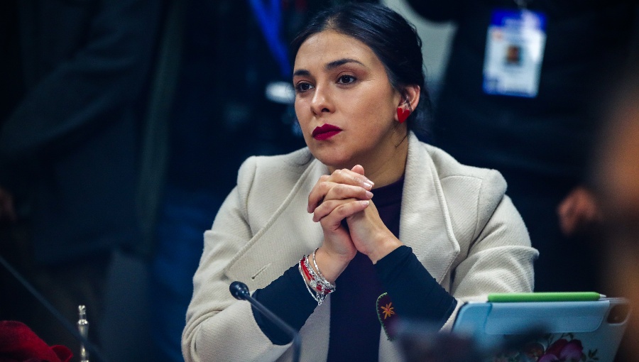 Senadora Cariola rechaza recortes regionales y fin de "Yo elijo mi PC" en Presupuesto 2027