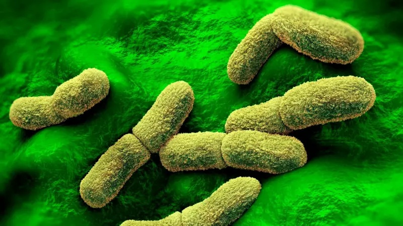 EE.UU. "sigue de cerca" el caso de una científica rusa que falleció en un centro de investigación de la peste en Siberia