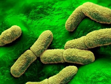 EE.UU. "sigue de cerca" el caso de una científica rusa que falleció en un centro de investigación de la peste en Siberia