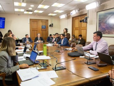 Comisión de Deportes despacha Ley Nico Vidal: iniciativa busca fortalecer la seguridad del fútbol amateur
