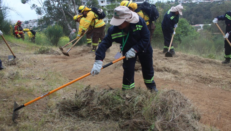 Conaf suma 331 nuevos empleos para reforzar prevención de incendios forestales en 19 comunas de la región de Valparaíso