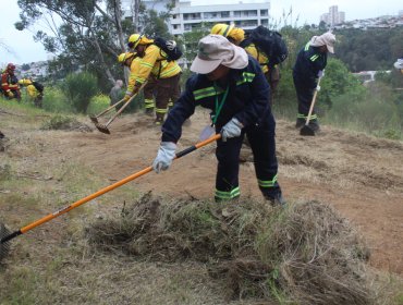 Conaf suma 331 nuevos empleos para reforzar prevención de incendios forestales en 19 comunas de la región de Valparaíso