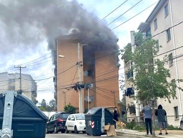 Incendio estructural afectó a departamento del cuarto piso de un edificio en Viña del Mar