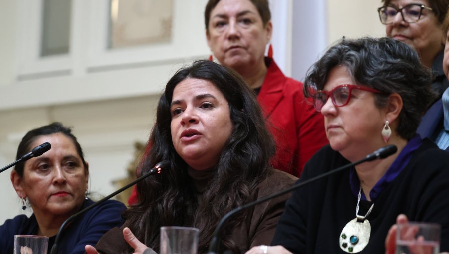 Exministras de la Mujer y senadoras piden al Gobierno buscar una solución conjunta para no cerrar Prodemu