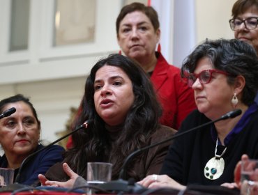 Exministras de la Mujer y senadoras piden al Gobierno buscar una solución conjunta para no cerrar Prodemu