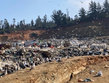 Valparaíso es la tercera región que más basura municipal genera en el país: alertan por aumento durante las fiestas de fin de año