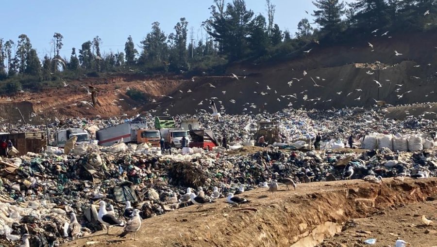 Valparaíso es la tercera región que más basura municipal genera en el país: alertan por aumento durante las fiestas de fin de año