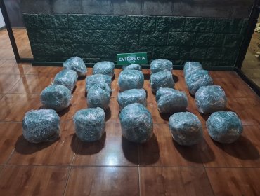 Carabineros incauta más de 41 kilos de marihuana en control vehicular en la ruta 5 Norte de Papudo