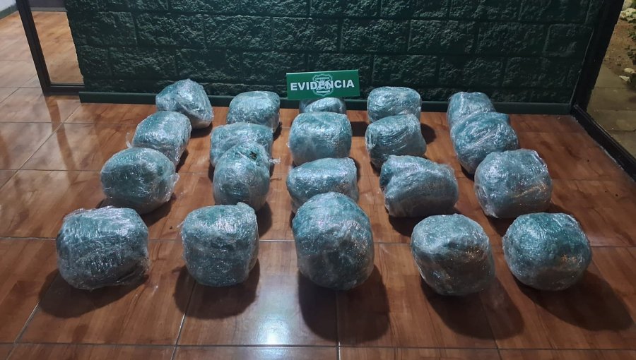 Carabineros incauta más de 41 kilos de marihuana en control vehicular en la ruta 5 Norte de Papudo