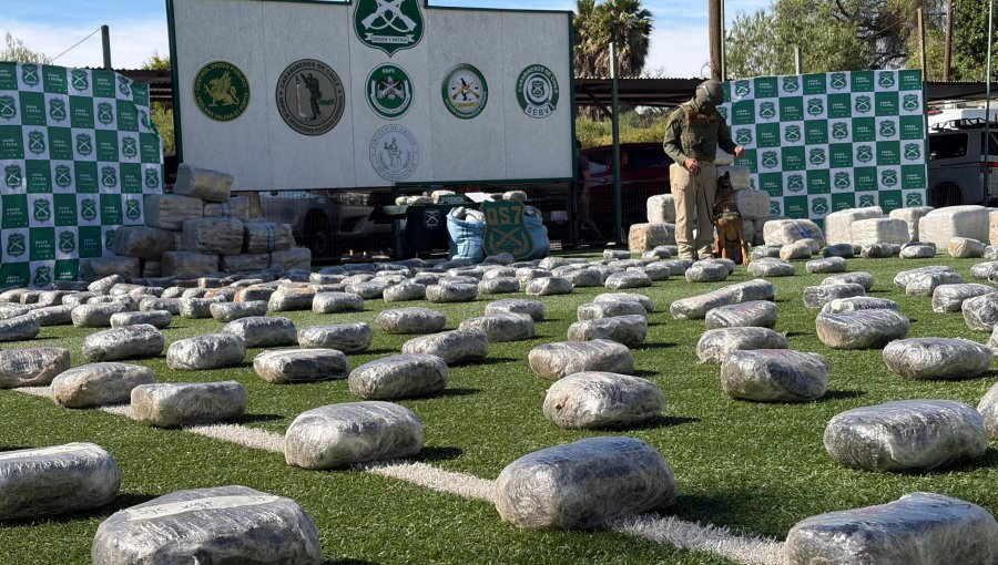 Incautan más de 1.749 kilos de marihuana durante un procedimiento desarrollado en la ruta 5 Norte