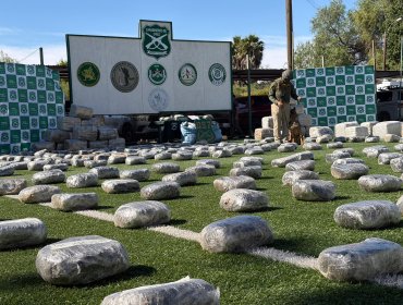 Incautan más de 1.749 kilos de marihuana durante un procedimiento desarrollado en la ruta 5 Norte