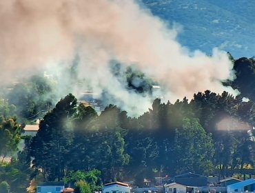 Incendio consumió vivienda en Reñaca Alto y amenazó con propagarse a casas vecinas