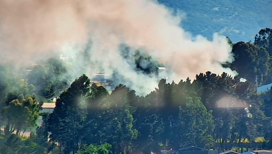 Incendio consumió vivienda en Reñaca Alto y amenazó con propagarse a casas vecinas