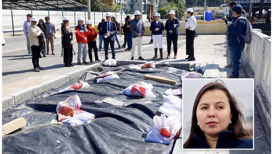 Alcaldesa Nieto cuestiona lento avance de obras en avenida Altamirano: "El Gobierno y el MOP tienen que entender que es urgente"
