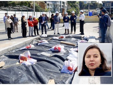 Alcaldesa Nieto cuestiona lento avance de obras en avenida Altamirano: "El Gobierno y el MOP tienen que entender que es urgente"