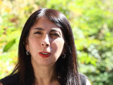Rubilar advierte un "problema serio" de diseño comunicacional en el Gobierno ante emergencias y llama a recurrir al piñerismo