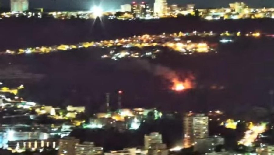 Dos focos de incendio se registran al interior del Parque Sausalito de Viña del Mar
