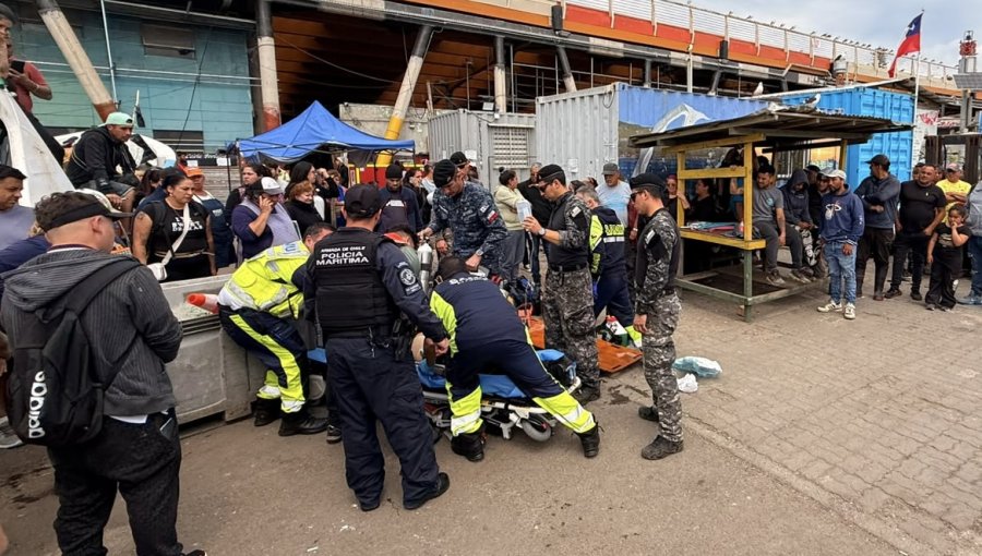 Pescadores rescataron a mujer que cayó al mar mientras observaba lobos marinos en el muelle de la Caleta Portales de Valparaíso