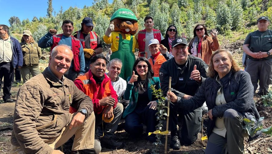 Inician reforestación del Jardín Botánico de Viña del Mar con donación de 900 árboles nativos