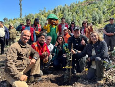Inician reforestación del Jardín Botánico de Viña del Mar con donación de 900 árboles nativos
