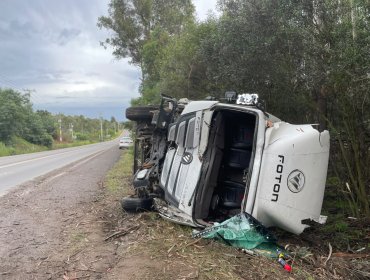 Camión volcó en la ruta que une Quillota con Concón: conductor resultó lesionado