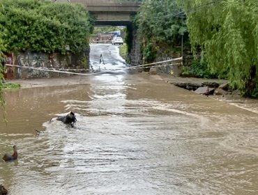 Desborde del estero de Quilpué vuelve a encender las alarmas en el marco del temporal