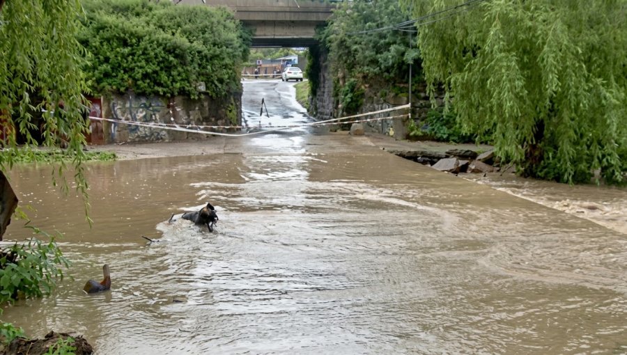 Desborde del estero de Quilpué vuelve a encender las alarmas en el marco del temporal